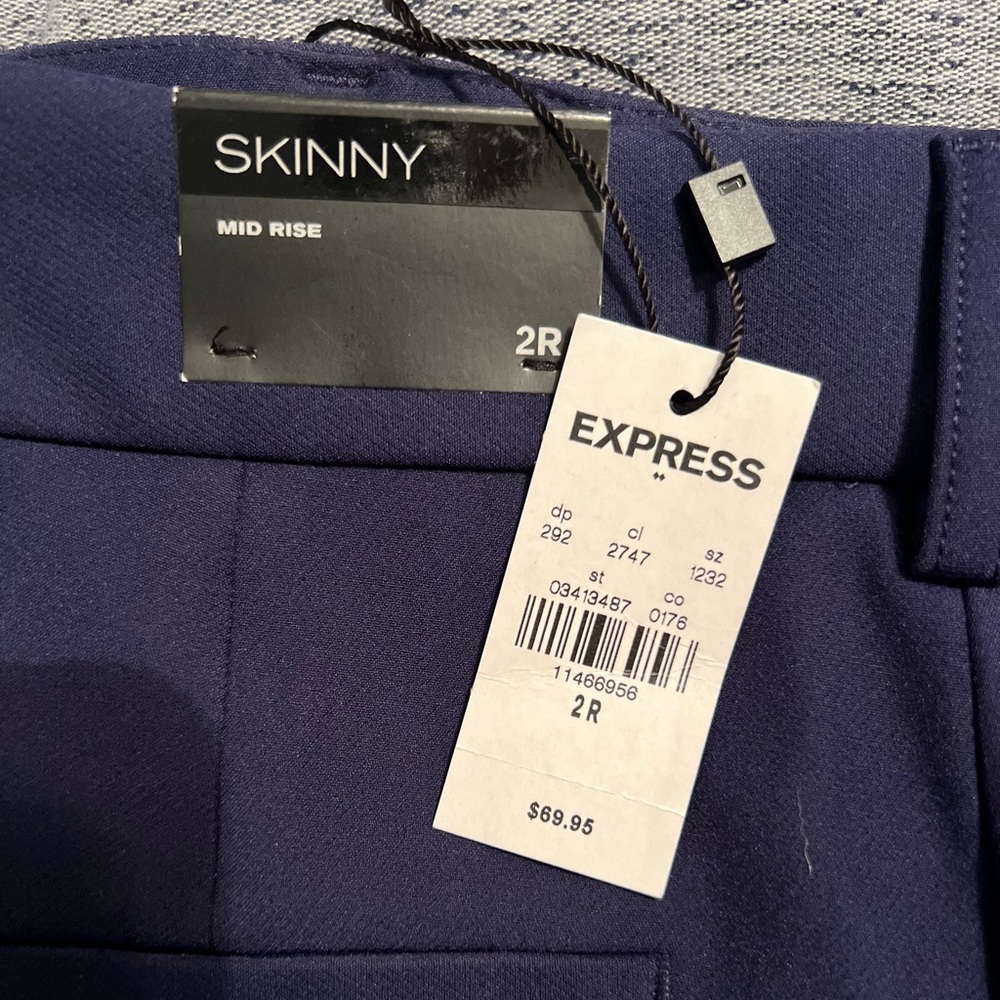 Tan and Navy Blue Express Dress Pants